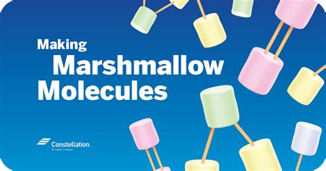 Marshmallow Meditations: Finding Inner Peace Through Confectionery Delights